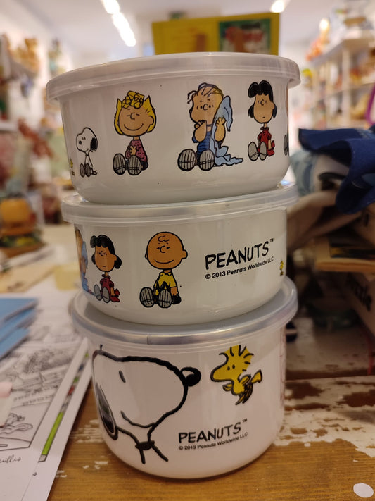 Boite de Conservation Snoopy